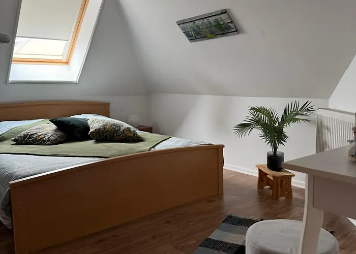 Apartamento House *